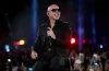 Pitbull