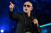 Pitbull