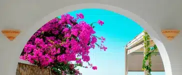 Tunisija rudenī jau šogad, kur doties