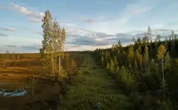 Robeža