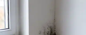 Pelējums mājās