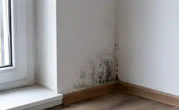 Pelējums mājās