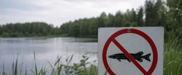 līdaku liegums latvijā