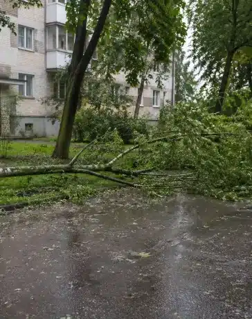 vētras postījumi