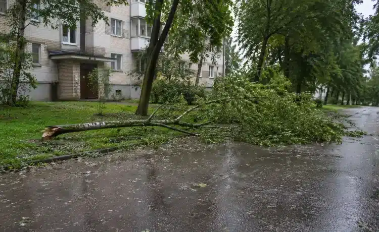vētras postījumi